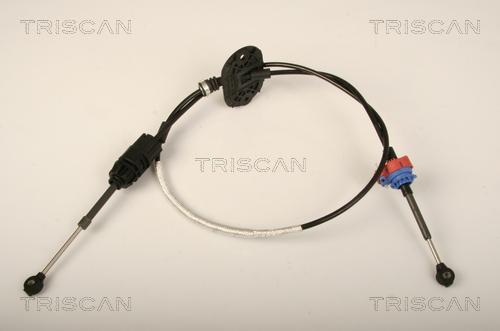 Triscan 8140 16704 - Cavo comando, Cambio automatico autozon.pro