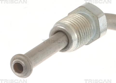 Triscan 8150 292023 - Flessibile del freno autozon.pro