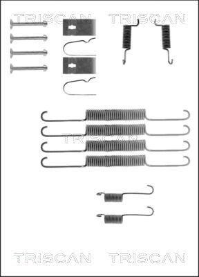 Triscan 8105 502539 - Kit accessori, Ganasce freno autozon.pro