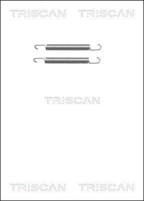 Triscan 8105 652161 - Kit accessori, Ganasce freno stazionamento autozon.pro