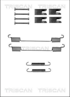 Triscan 8105 102601 - Kit accessori, Ganasce freno autozon.pro