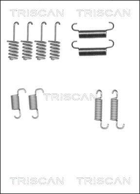 Triscan 8105 102616 - Kit accessori, Ganasce freno stazionamento autozon.pro