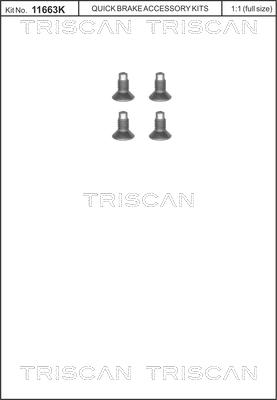 Triscan 8105 116004 - Kit bulloni, Disco freno autozon.pro