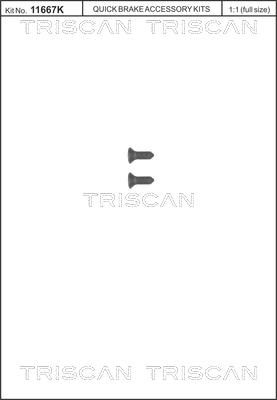 Triscan 8105 116008 - Kit bulloni, Disco freno autozon.pro