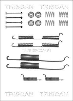 Triscan 8105 252569 - Kit accessori, Ganasce freno autozon.pro