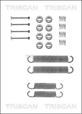 Triscan 8105 702196 - Kit accessori, Ganasce freno autozon.pro