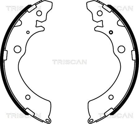 Triscan 8100 40508 - Kit ganasce freno autozon.pro