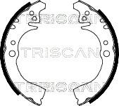 Triscan 8100 41497 - Kit ganasce freno autozon.pro