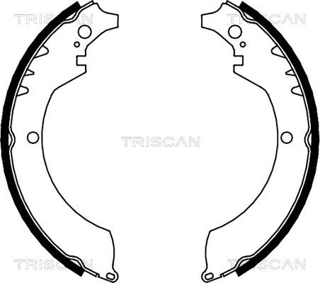 Triscan 8100 41419 - Kit ganasce freno autozon.pro