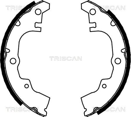 Triscan 8100 41414 - Kit ganasce freno autozon.pro