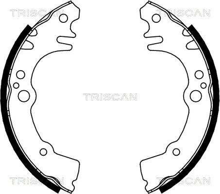 Triscan 8100 41616 - Kit ganasce freno autozon.pro