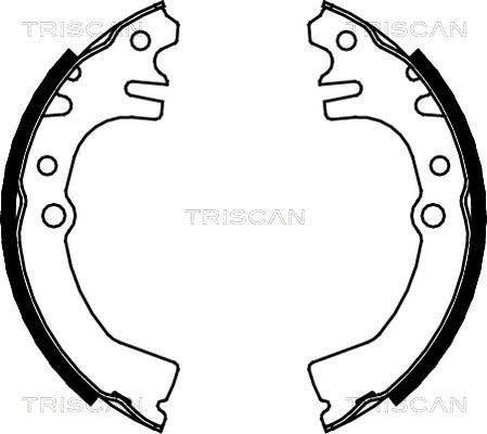 Triscan 8100 41613 - Kit ganasce freno autozon.pro