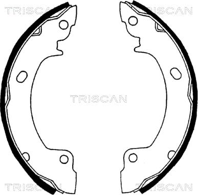 Triscan 8100 43529 - Kit ganasce freno autozon.pro