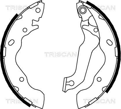 Triscan 8100 43013 - Kit ganasce freno autozon.pro