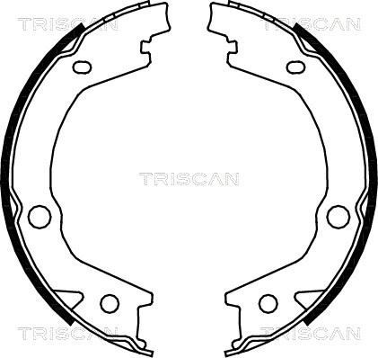 Triscan 8100 43020 - Kit ganasce, Freno stazionamento autozon.pro