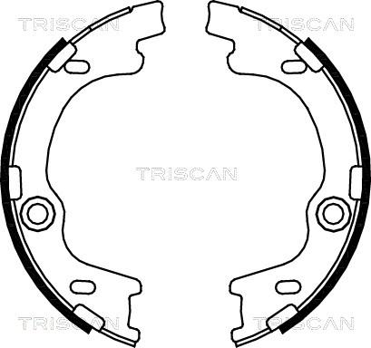 Triscan 8100 43021 - Kit ganasce freno autozon.pro