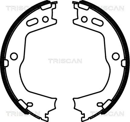 Triscan 8100 43028 - Kit ganasce, Freno stazionamento autozon.pro