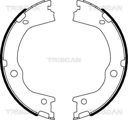 Triscan 8100 43027 - Kit ganasce freno autozon.pro