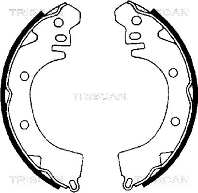 Triscan 8100 42422 - Kit ganasce freno autozon.pro