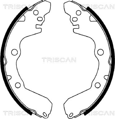 Triscan 8100 42566 - Kit ganasce freno autozon.pro