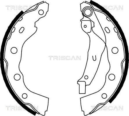 Triscan 8100 42628 - Kit ganasce freno autozon.pro