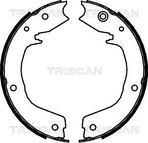 Triscan 8100 42019 - Kit ganasce, Freno stazionamento autozon.pro