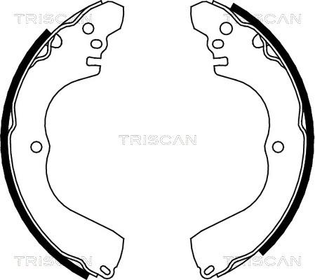 Triscan 8100 42017 - Kit ganasce freno autozon.pro