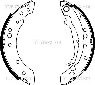 Triscan 8100 42020 - Kit ganasce freno autozon.pro