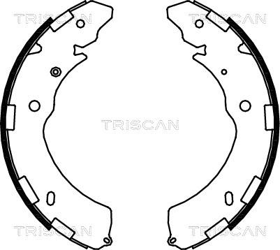 Triscan 8100 42021 - Kit ganasce freno autozon.pro