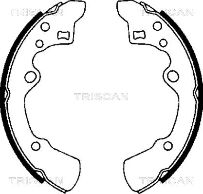 Triscan 8100 50496 - Kit ganasce freno autozon.pro