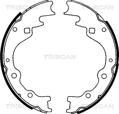 Triscan 8100 50461 - Kit ganasce freno autozon.pro