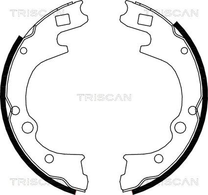 Triscan 8100 50604 - Kit ganasce freno autozon.pro