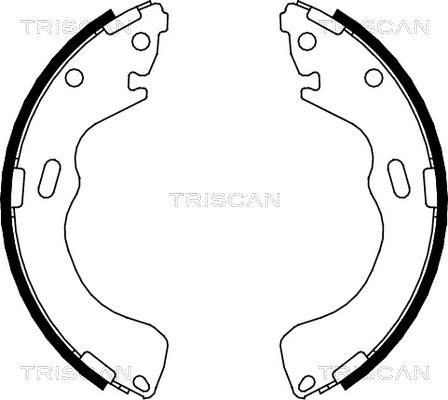 Triscan 8100 50616 - Kit ganasce freno autozon.pro