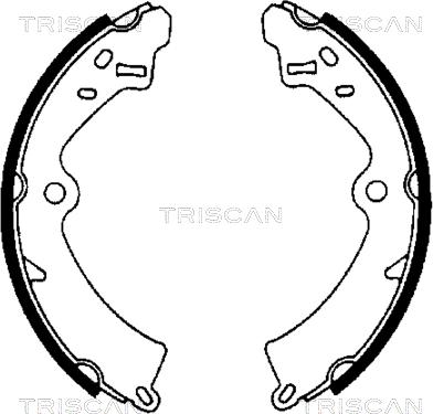 Triscan 8100 69473 - Kit ganasce freno autozon.pro