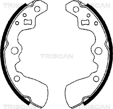 Triscan 8100 69550 - Kit ganasce freno autozon.pro