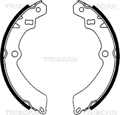 Triscan 8100 69511 - Kit ganasce freno autozon.pro