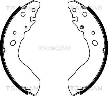 Triscan 8100 69584 - Kit ganasce freno autozon.pro