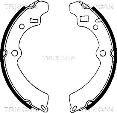 Triscan 8100 69521 - Kit ganasce freno autozon.pro