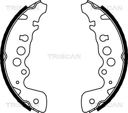 Triscan 8100 69608 - Kit ganasce freno autozon.pro