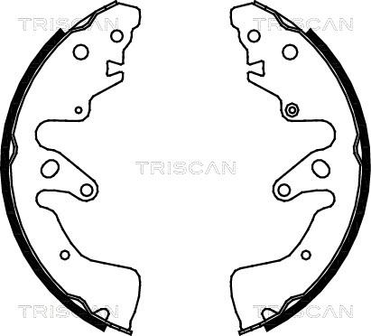 Triscan 8100 69004 - Kit ganasce freno autozon.pro