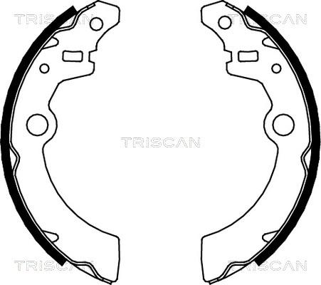 Triscan 8100 69001 - Kit ganasce freno autozon.pro