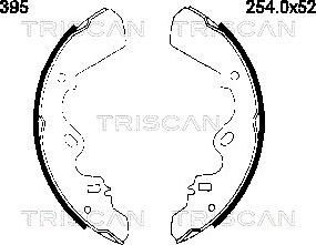 Triscan 8100 60395 - Kit ganasce freno autozon.pro