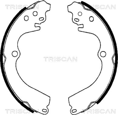 Triscan 8100 68551 - Kit ganasce freno autozon.pro