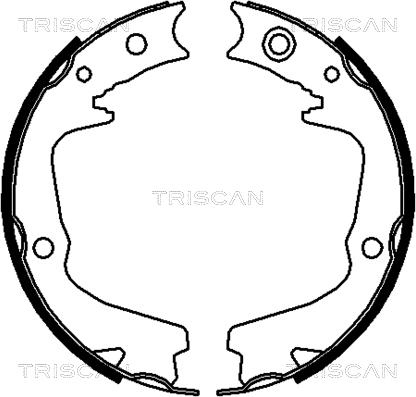 Triscan 8100 68002 - Kit ganasce freno autozon.pro