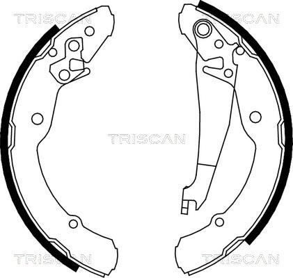 Triscan 8100 67631 - Kit ganasce freno autozon.pro