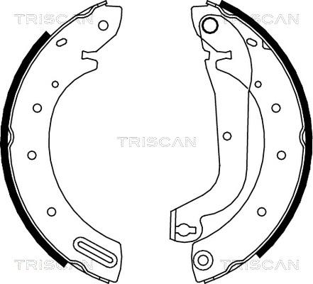 Triscan 8100 14596 - Kit ganasce freno autozon.pro