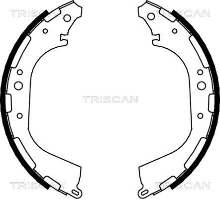 Triscan 8100 14564 - Kit ganasce freno autozon.pro