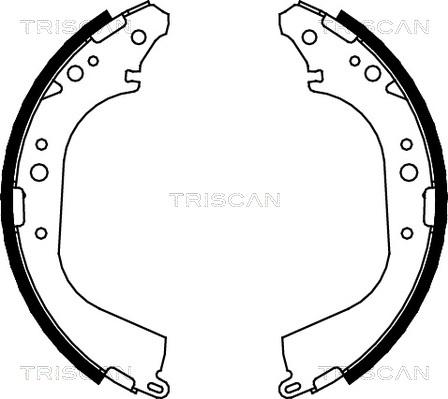 Triscan 8100 14565 - Kit ganasce freno autozon.pro