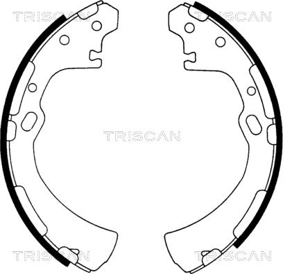 Triscan 8100 14510 - Kit ganasce freno autozon.pro