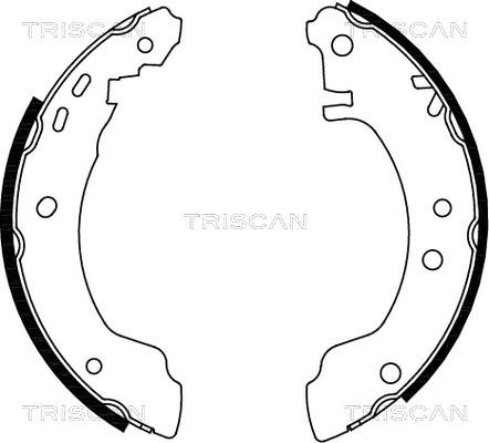 Triscan 8100 14531 - Kit ganasce freno autozon.pro